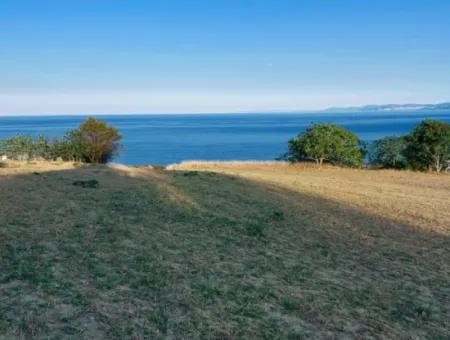 Gutschein Grundstück Zum Dringenden Verkauf Geeignet Für Den Bau Ihres Einfamilienhauses Mit Herrlichem Meerblick In Tekirdag Barbarosta