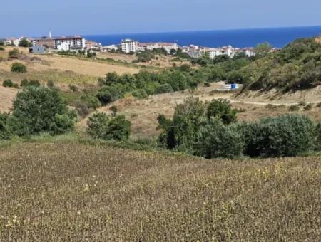 9.100 M2 Villa Zoniertes Feld Zum Dringenden Verkauf In Tekirdag Barbarosta