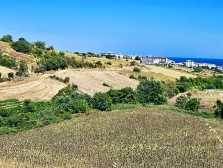 9.100 M2 Villa Zoniertes Feld Zum Dringenden Verkauf In Tekirdag Barbarosta