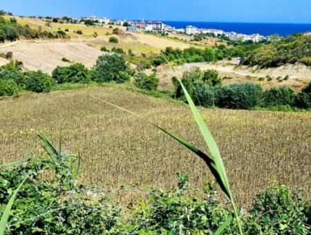 9.100 M2 Villa Zoniertes Feld Zum Dringenden Verkauf In Tekirdag Barbarosta