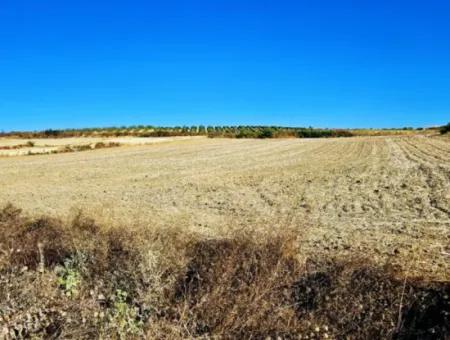 Der Hafen Von Asyaport Liegt Ganz In Der Nähe Der Bestehenden Zonierung Von 17.350 M2 Schnäppchen-Investitionscoupon-Feld Für Den Dringenden Verkauf