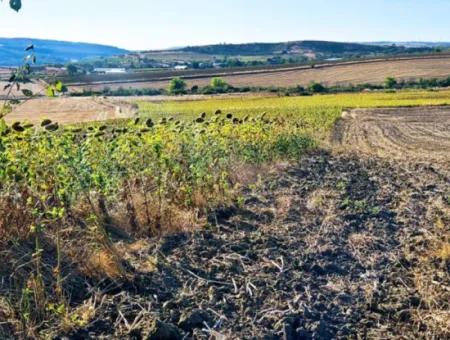 Der Hafen Von Asyaport Liegt Ganz In Der Nähe Der Bestehenden Zonierung Von 17.350 M2 Schnäppchen-Investitionscoupon-Feld Für Den Dringenden Verkauf