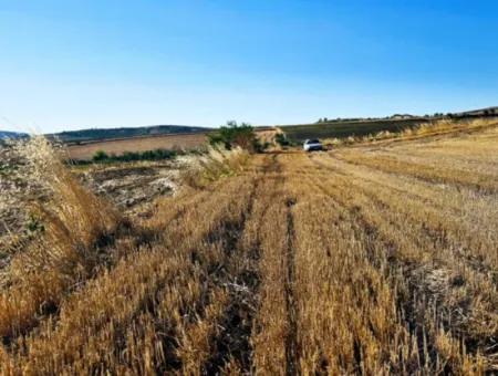 Der Hafen Von Asyaport Liegt Ganz In Der Nähe Der Bestehenden Zonierung Von 17.350 M2 Schnäppchen-Investitionscoupon-Feld Für Den Dringenden Verkauf