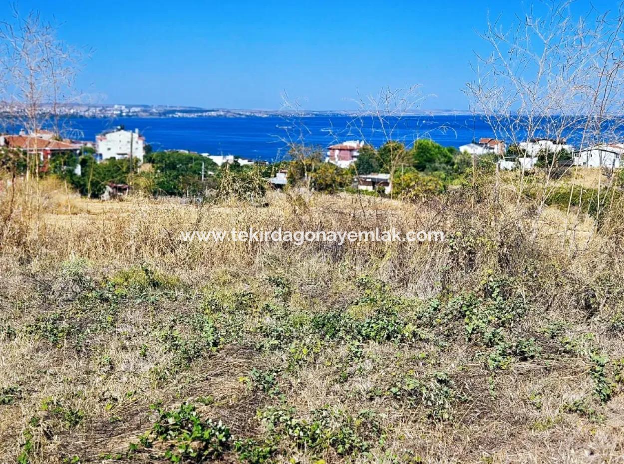 Coupon Land Suitable For Building A Detached House With Full Sea View For Urgent Sale In Tekirdag Barbarosta