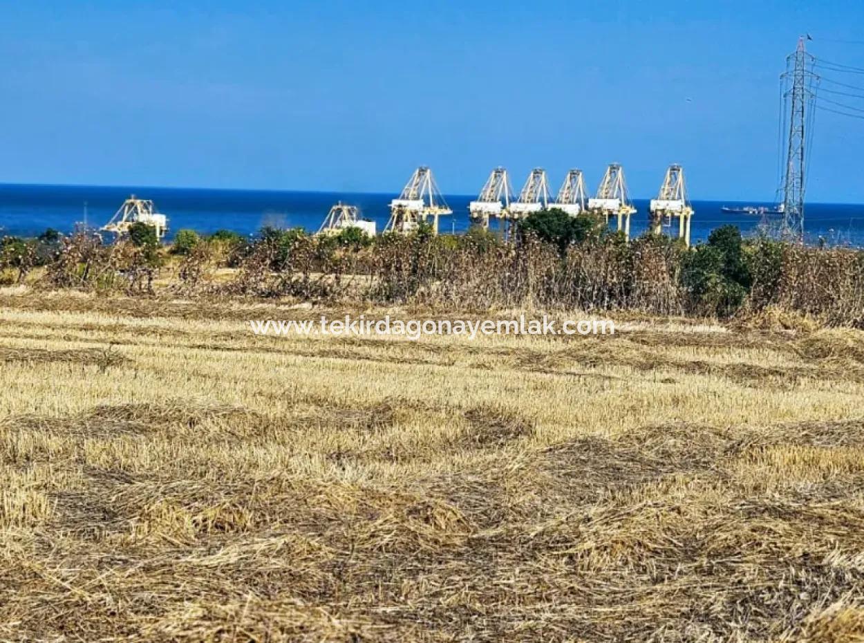 8.500 M2 Residential Zoned Coupon Field For Urgent Sale Close To Asyaport Port