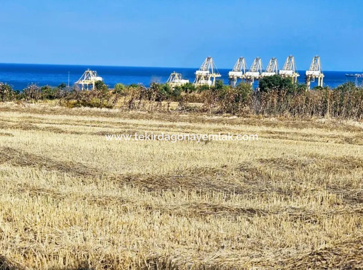 4.150 M2 Residential Zoned Field For Urgent Sale Just 1 Km From Asyaport Port