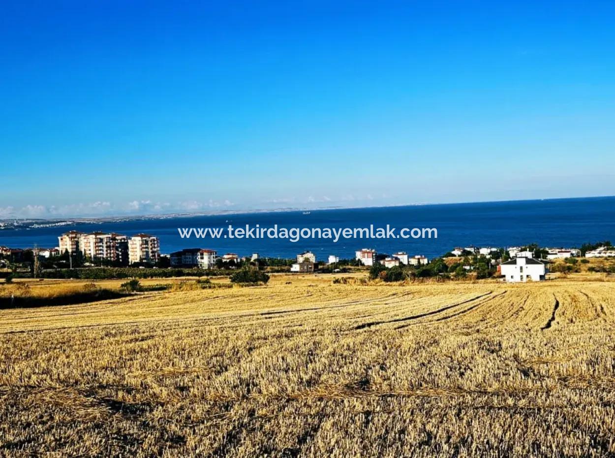 1.750 M2 Bargain Corner Plot With Full Sea View For Urgent Sale In Tekirdag Barbarosta