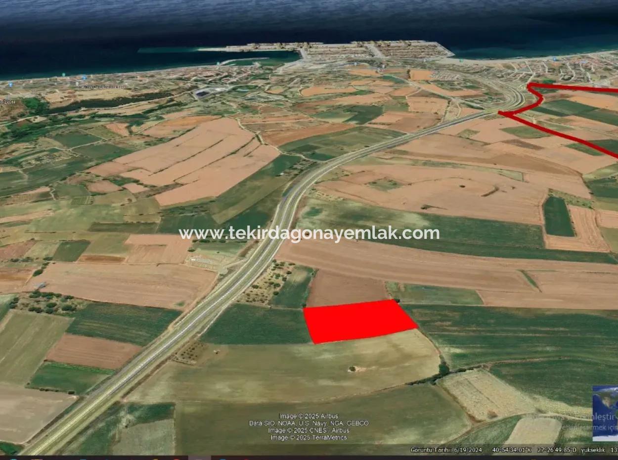 Commercial And Industrial Area Investment Opportunity Within The Current Zoning Plan Of Asyaport Port In Tekirdağ Barbaros Region