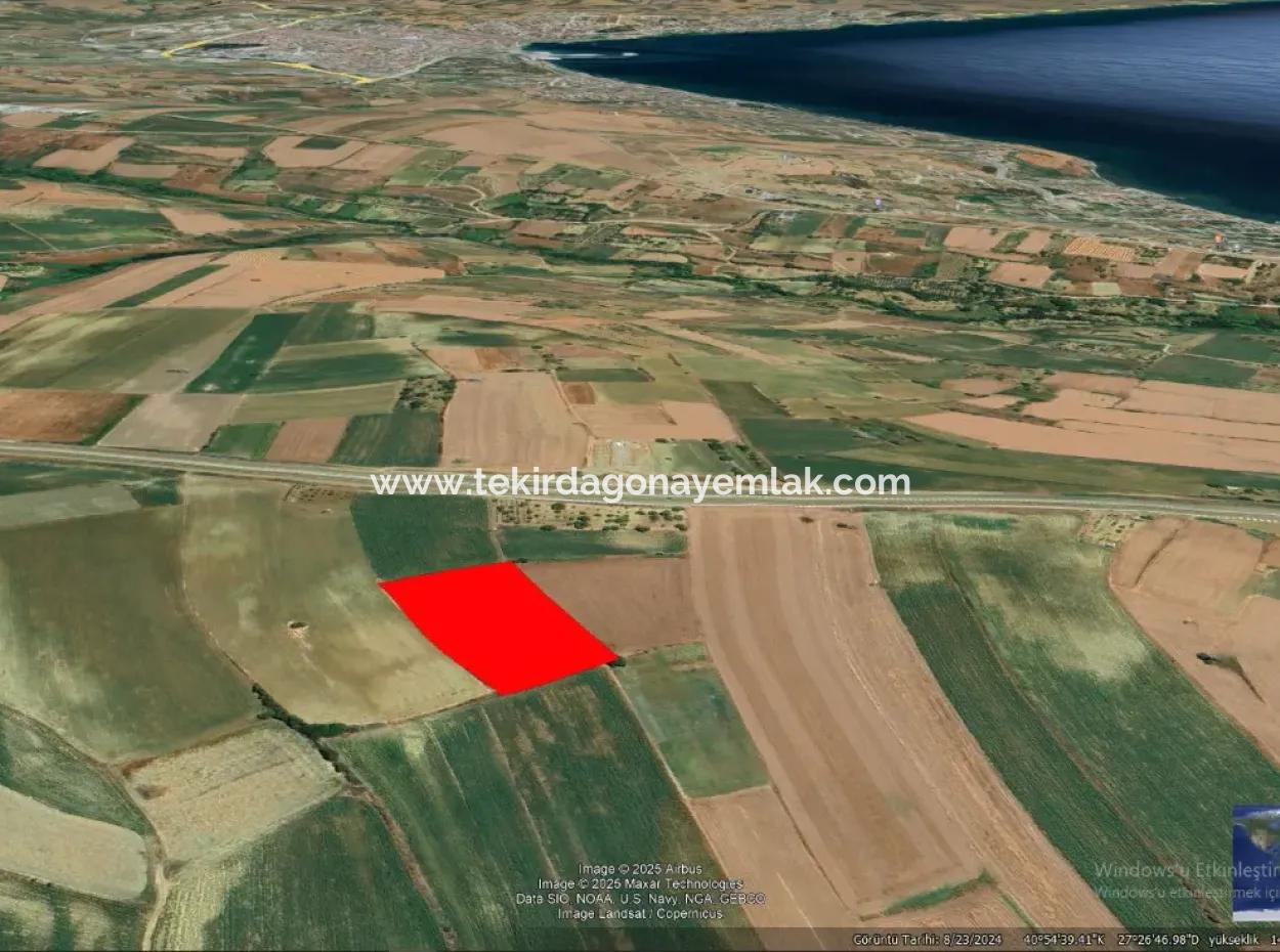 Commercial And Industrial Area Investment Opportunity Within The Current Zoning Plan Of Asyaport Port In Tekirdağ Barbaros Region