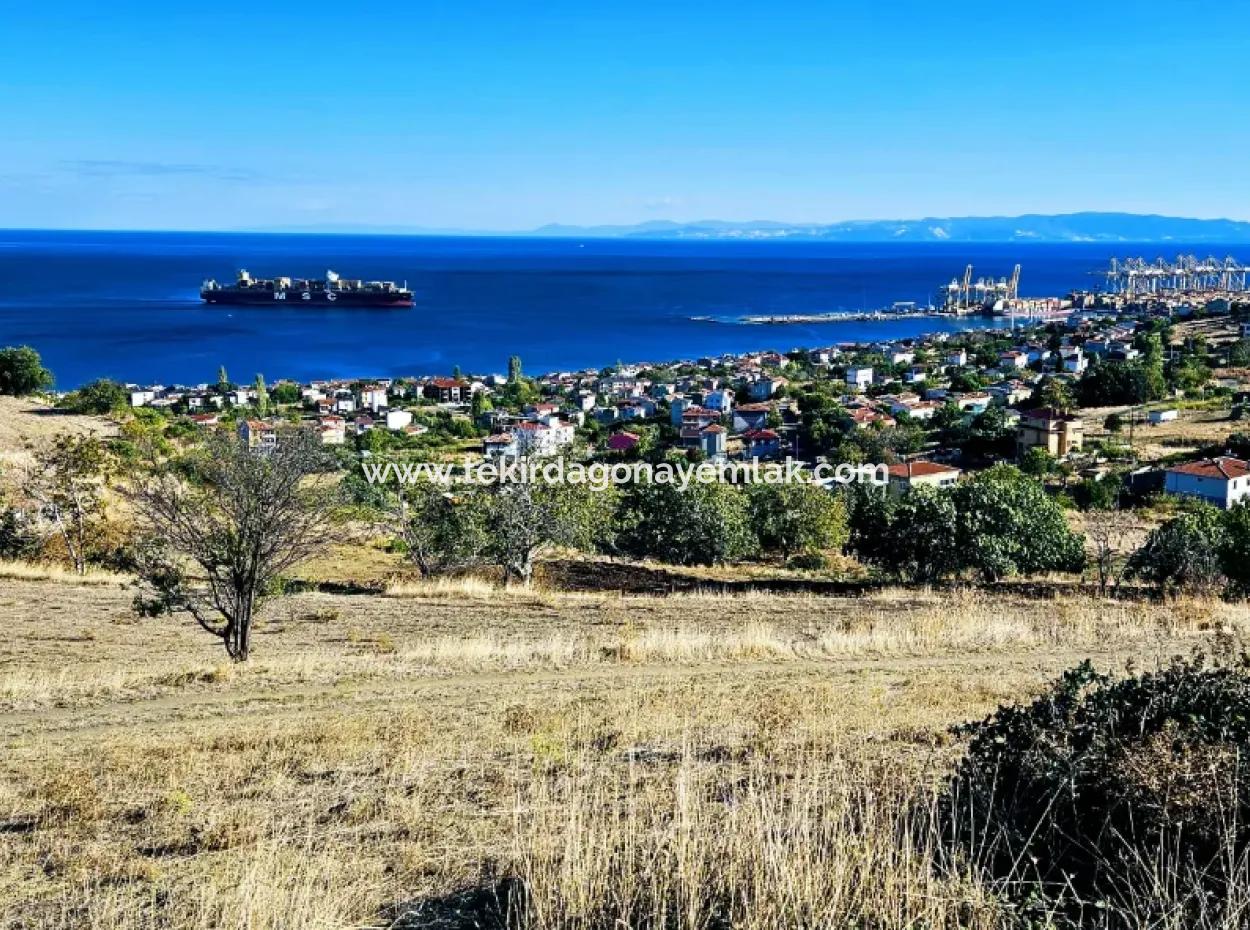 Opportunity Land Suitable For Making Your Detached House With Pool In Your Pregnant House For Urgent Sale In Tekirdag Barbarosta