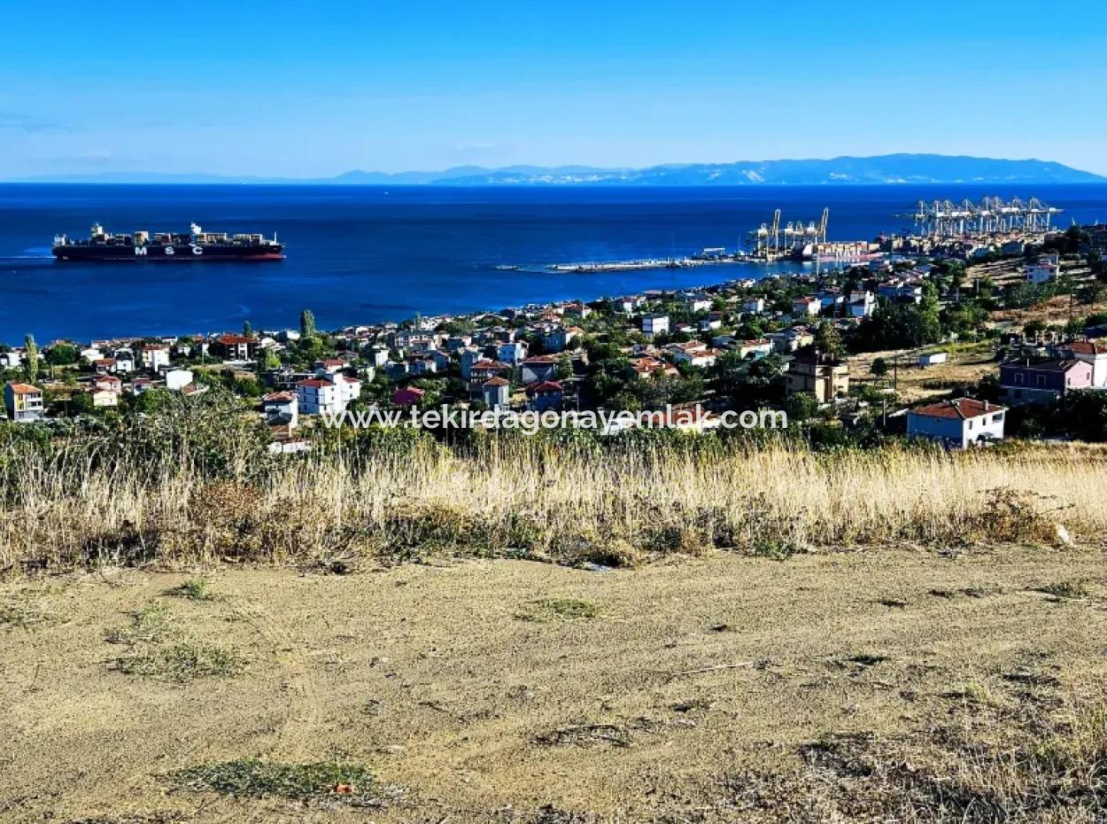 Opportunity Land Suitable For Making Your Detached House With Pool In Your Pregnant House For Urgent Sale In Tekirdag Barbarosta