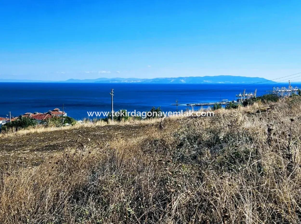 Opportunity Land Suitable For Building Your Detached House In Your Pregnant House For Urgent Sale In Tekirdag Barbarosta