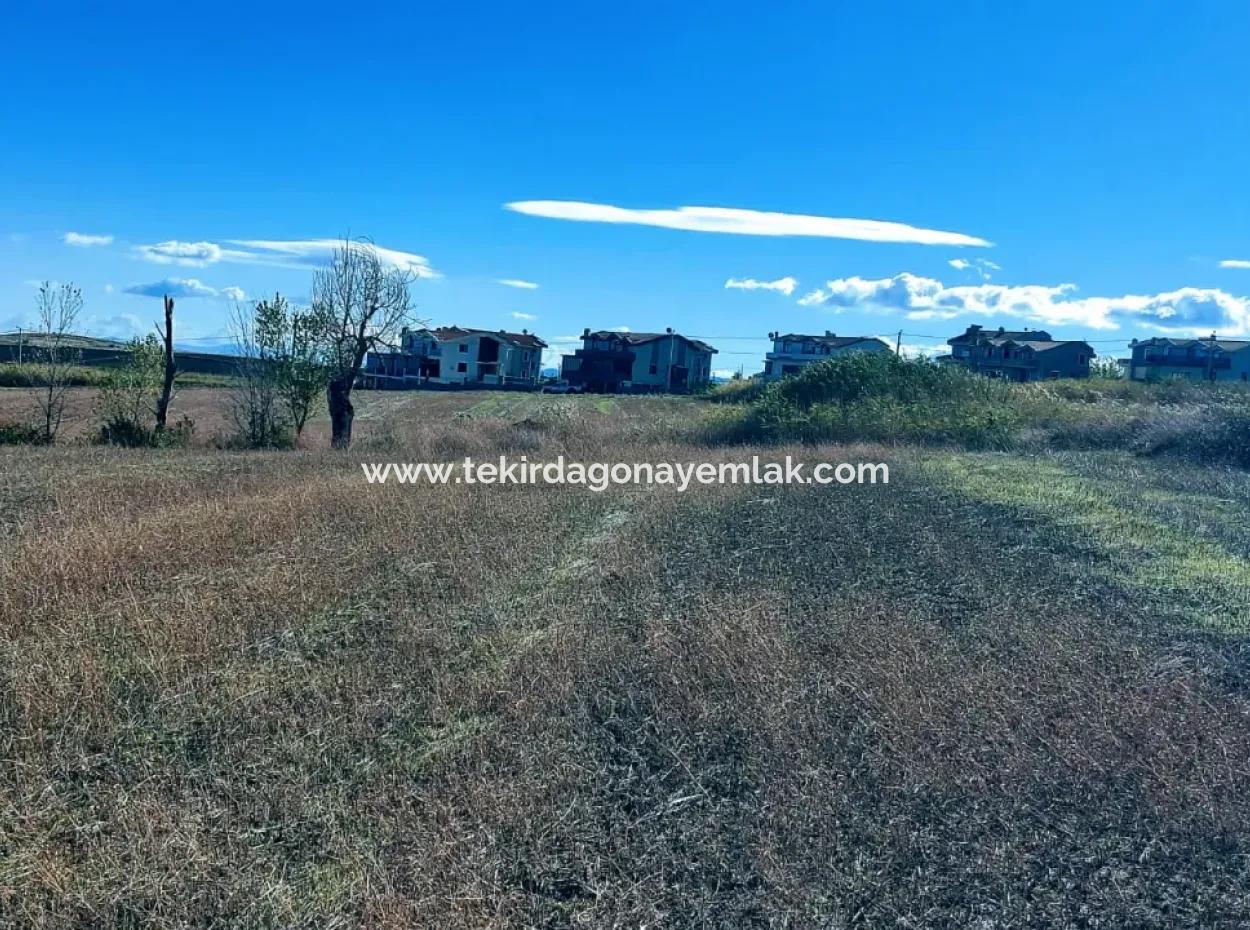 15.000 M2 Villa Zoned Land For Urgent Sale In Tekirdag Barbarosta