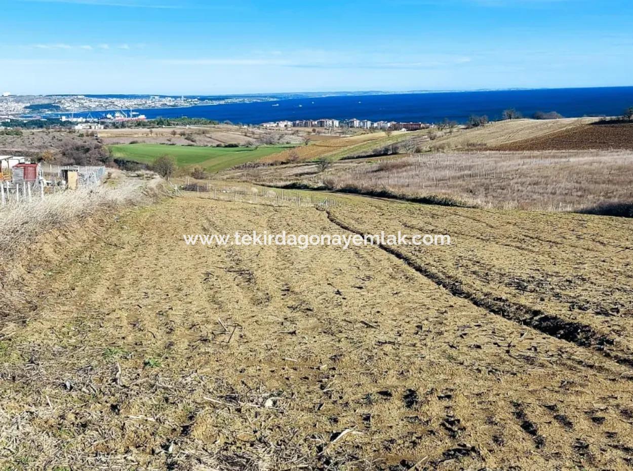 465 M2 Full Sea View Villa Zoned Land For Emergency Sale In Barbaros, Tekirdag