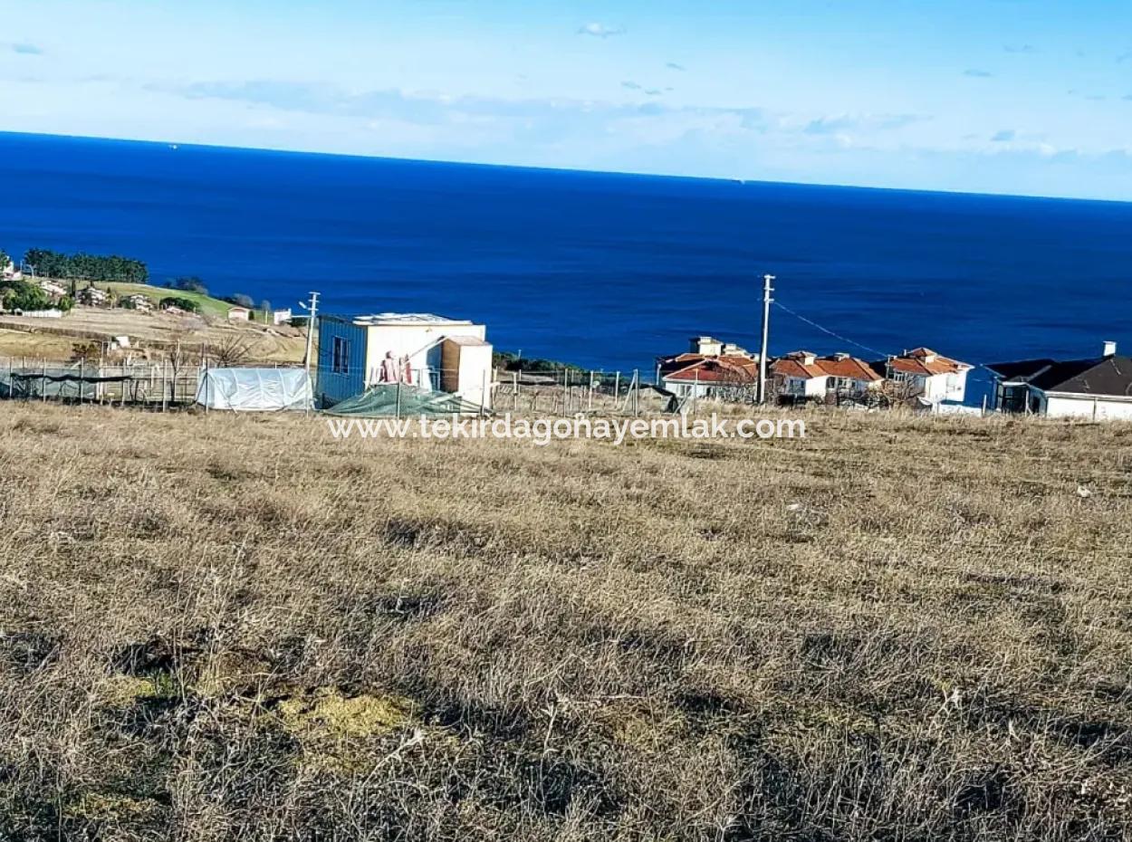 720 M2 Bargain Corner Plot With Full Sea View Suitable For Building A Detached House With Pool For Emergency Sale In Tekirdag Barbarosta