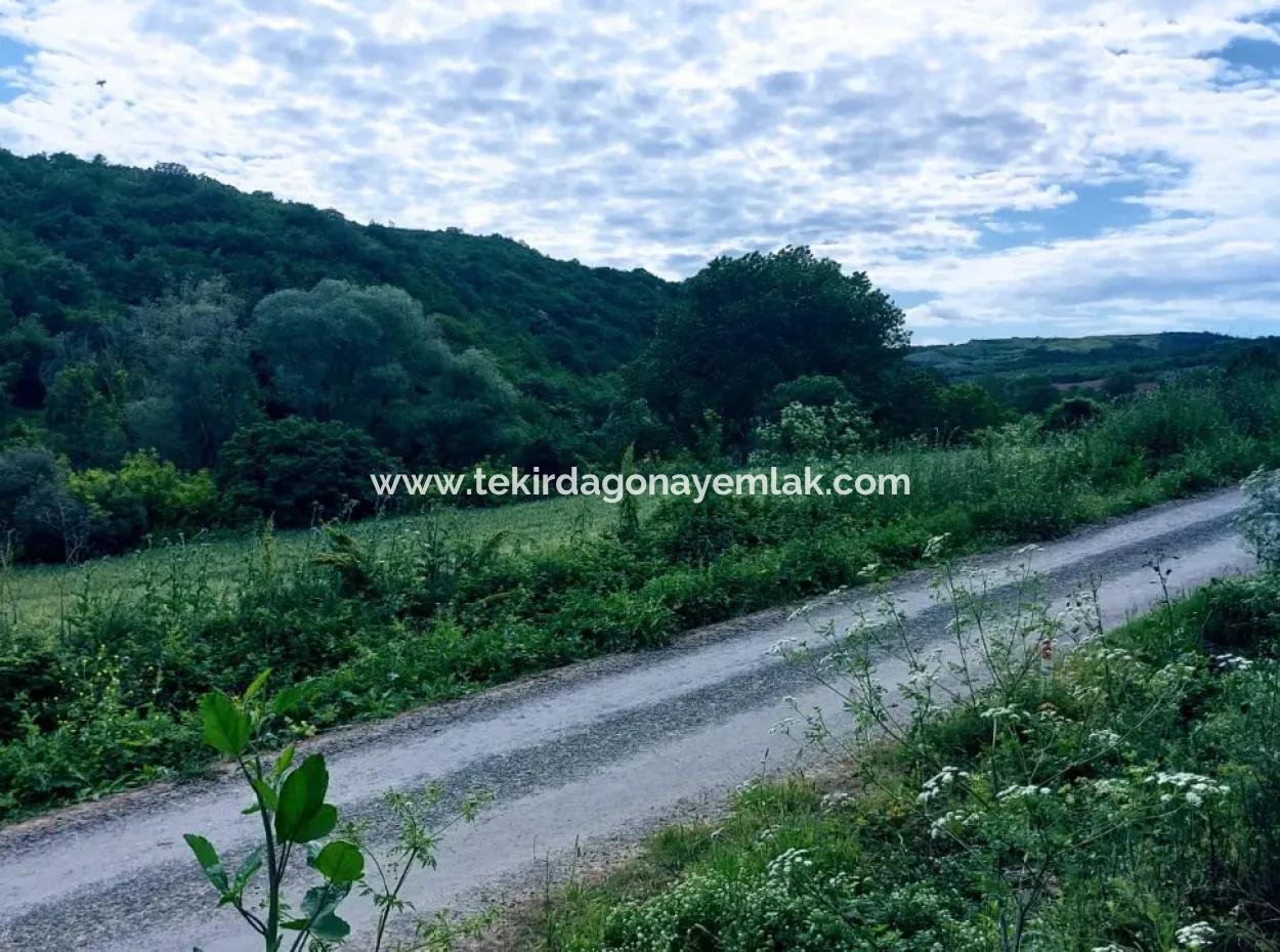 2.820 M2 Coupon Place Suitable To Put Tiny House In Nature For Urgent Sale In Tekirdağ Avşar Neighborhood