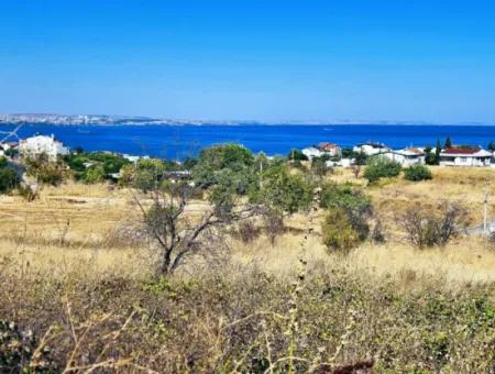 Coupon Land Suitable For Building A Detached House With Full Sea View For Urgent Sale In Tekirdag Barbarosta