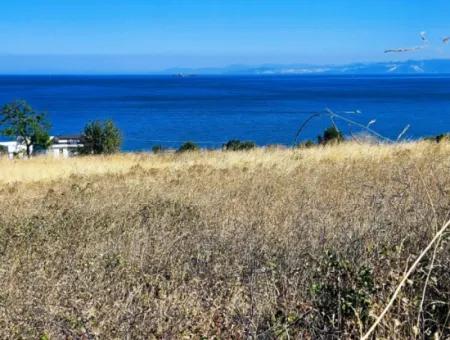 Coupon Land Suitable For Building A Detached House With Full Sea View For Urgent Sale In Tekirdag Barbarosta