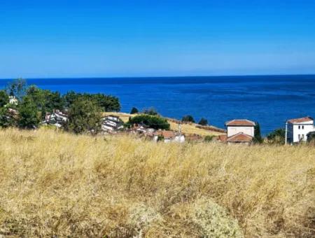 Coupon Land Suitable For Building A Detached House With Full Sea View For Urgent Sale In Tekirdag Barbarosta