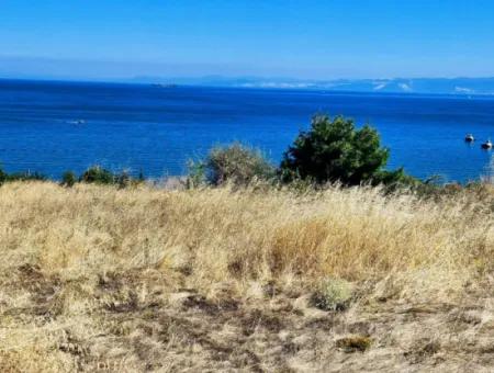 Coupon Land Suitable For Building A Detached House With Full Sea View For Urgent Sale In Tekirdag Barbarosta