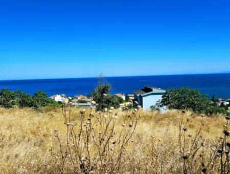 Amazing Investment Opportunity For 6 Villas With Sea View In Tekirdag Süleymanpaşa Barbarossa!