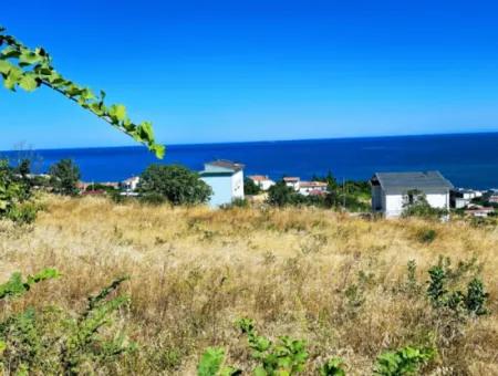 Amazing Investment Opportunity For 6 Villas With Sea View In Tekirdag Süleymanpaşa Barbarossa!