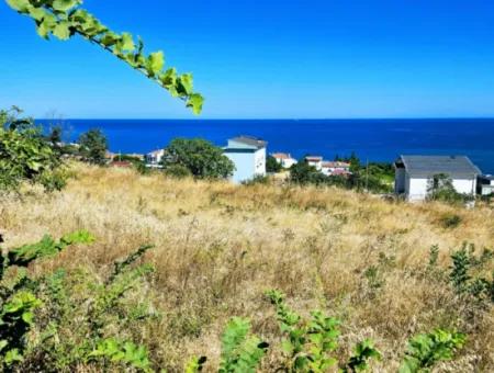 Amazing Investment Opportunity For 6 Villas With Sea View In Tekirdag Süleymanpaşa Barbarossa!