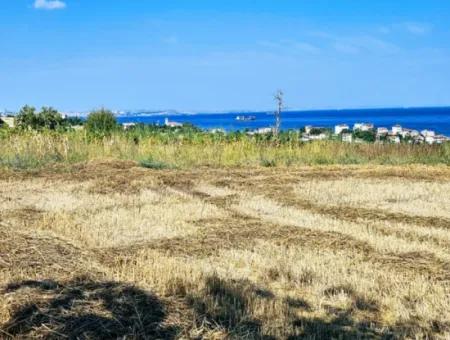 8.500 M2 Residential Zoned Coupon Field For Urgent Sale Close To Asyaport Port