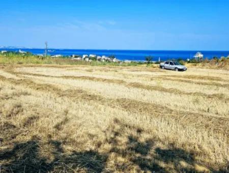 4.150 M2 Residential Zoned Field For Urgent Sale Just 1 Km From Asyaport Port