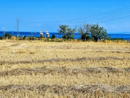 4.150 M2 Residential Zoned Field For Urgent Sale Just 1 Km From Asyaport Port