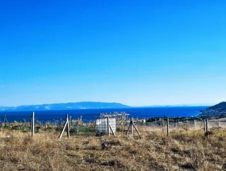 765 M2 Bargain Land With Full Sea View For Urgent Sale In Tekirdag Barbarosta