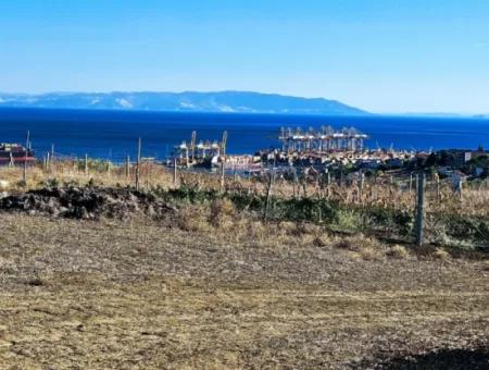 765 M2 Bargain Land With Full Sea View For Urgent Sale In Tekirdag Barbarosta