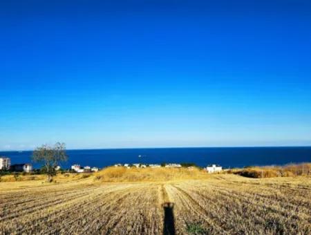 1.750 M2 Bargain Corner Plot With Full Sea View For Urgent Sale In Tekirdag Barbarosta