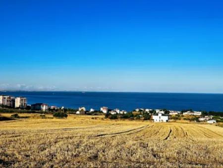 1.750 M2 Bargain Corner Plot With Full Sea View For Urgent Sale In Tekirdag Barbarosta