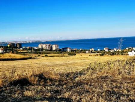 1.750 M2 Bargain Corner Plot With Full Sea View For Urgent Sale In Tekirdag Barbarosta