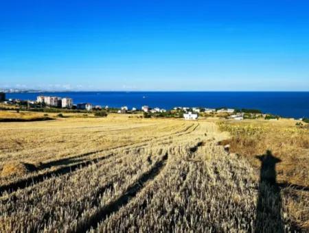 1.750 M2 Bargain Corner Plot With Full Sea View For Urgent Sale In Tekirdag Barbarosta