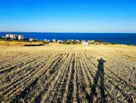 1.750 M2 Bargain Corner Plot With Full Sea View For Urgent Sale In Tekirdag Barbarosta