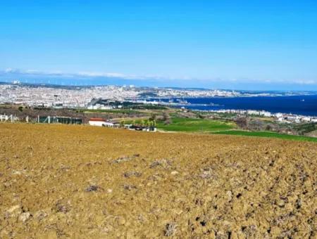 6.400 M2 Villa Zoned Land With Full Sea View Villa For Urgent Sale In Tekirdag Barbarosta