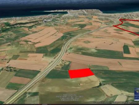 Commercial And Industrial Area Investment Opportunity Within The Current Zoning Plan Of Asyaport Port In Tekirdağ Barbaros Region