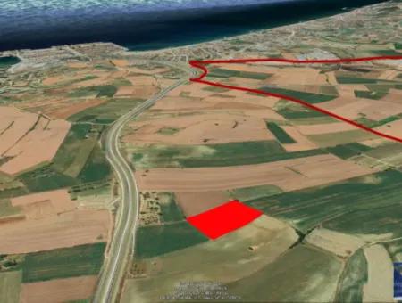 Commercial And Industrial Area Investment Opportunity Within The Current Zoning Plan Of Asyaport Port In Tekirdağ Barbaros Region