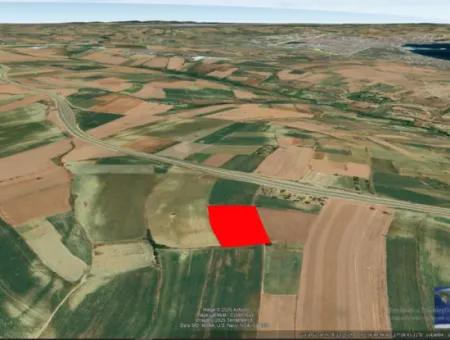 Commercial And Industrial Area Investment Opportunity Within The Current Zoning Plan Of Asyaport Port In Tekirdağ Barbaros Region