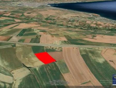 Commercial And Industrial Area Investment Opportunity Within The Current Zoning Plan Of Asyaport Port In Tekirdağ Barbaros Region