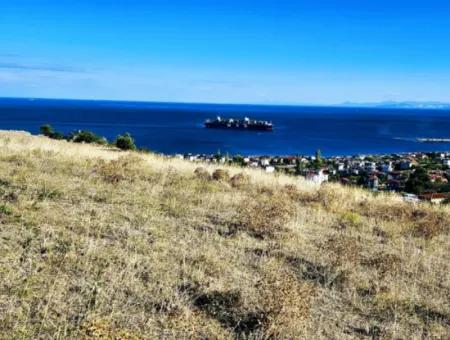 Opportunity Land Suitable For Making Your Detached House With Pool In Your Pregnant House For Urgent Sale In Tekirdag Barbarosta