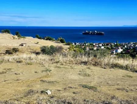 Opportunity Land Suitable For Making Your Detached House With Pool In Your Pregnant House For Urgent Sale In Tekirdag Barbarosta