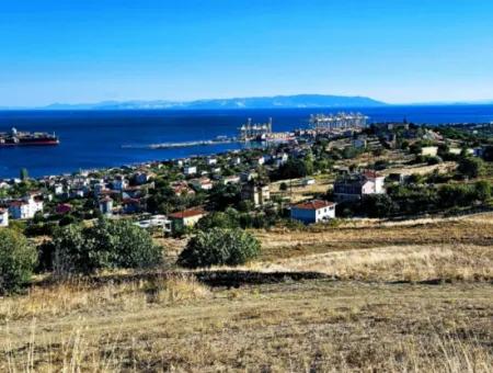 Opportunity Land Suitable For Making Your Detached House With Pool In Your Pregnant House For Urgent Sale In Tekirdag Barbarosta