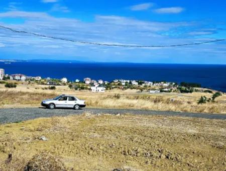 Opportunity Land Suitable For Building Your Detached House In Your Pregnant House For Urgent Sale In Tekirdag Barbarosta