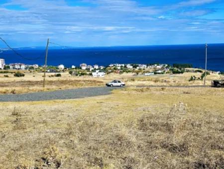 Opportunity Land Suitable For Building Your Detached House In Your Pregnant House For Urgent Sale In Tekirdag Barbarosta