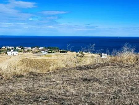 Opportunity Land Suitable For Building Your Detached House In Your Pregnant House For Urgent Sale In Tekirdag Barbarosta