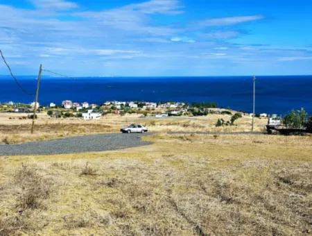 Opportunity Land Suitable For Building Your Detached House In Your Pregnant House For Urgent Sale In Tekirdag Barbarosta