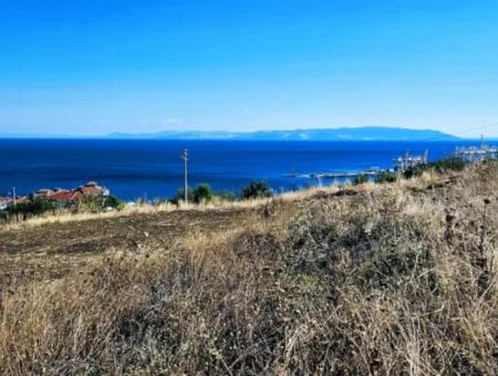 Opportunity Land Suitable For Building Your Detached House In Your Pregnant House For Urgent Sale In Tekirdag Barbarosta